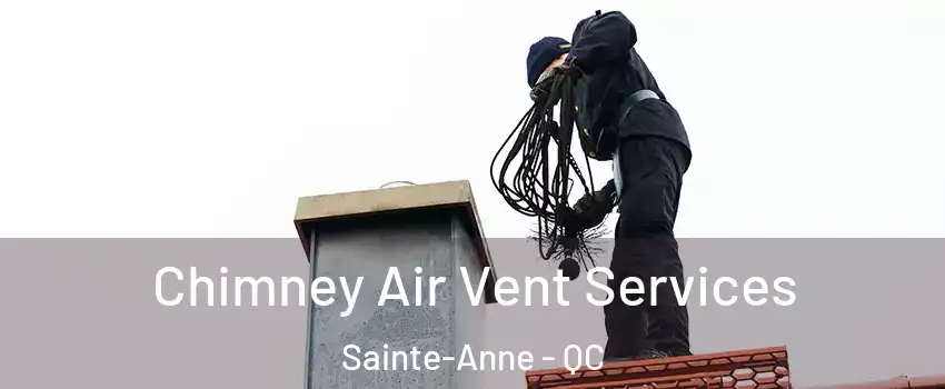  Chimney Air Vent Services Sainte-Anne - QC