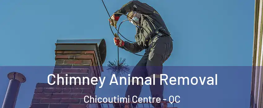 Chimney Animal Removal Chicoutimi Centre - QC