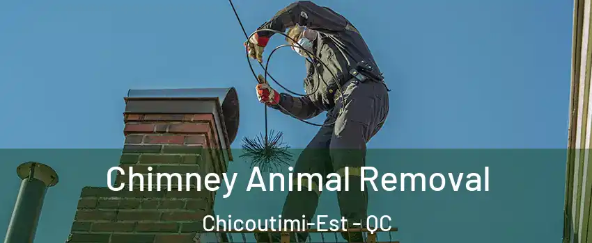 Chimney Animal Removal Chicoutimi-Est - QC