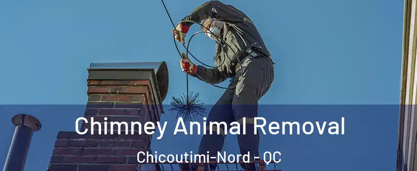Chimney Animal Removal Chicoutimi-Nord - QC