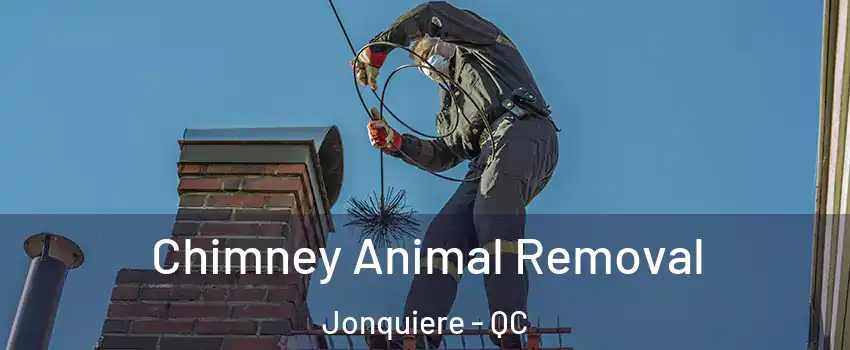 Chimney Animal Removal Jonquiere - QC