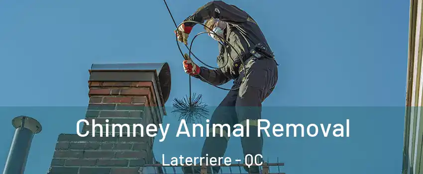 Chimney Animal Removal Laterriere - QC