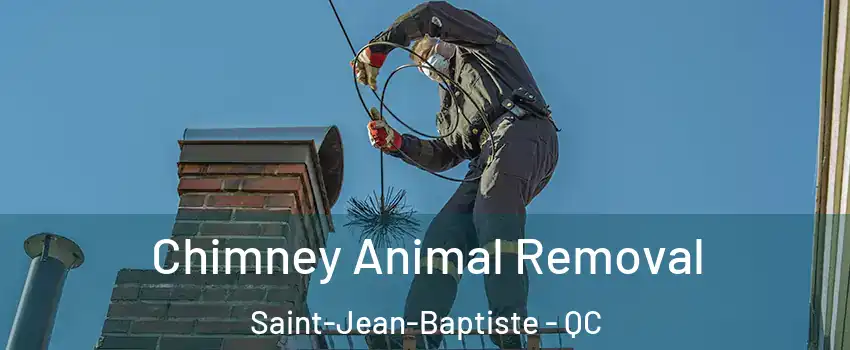 Chimney Animal Removal Saint-Jean-Baptiste - QC