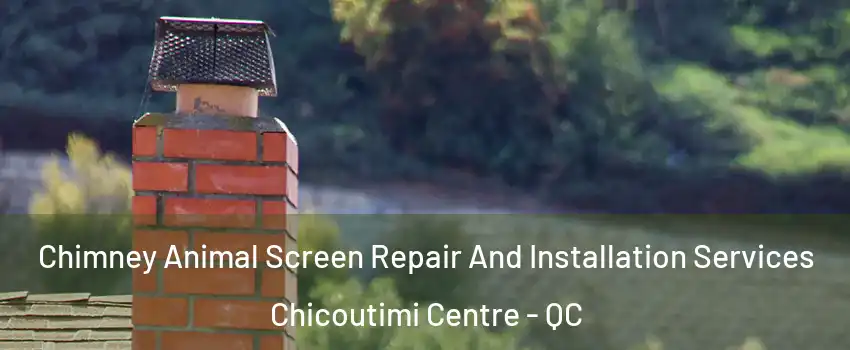  Chimney Animal Screen Repair And Installation Services Chicoutimi Centre - QC