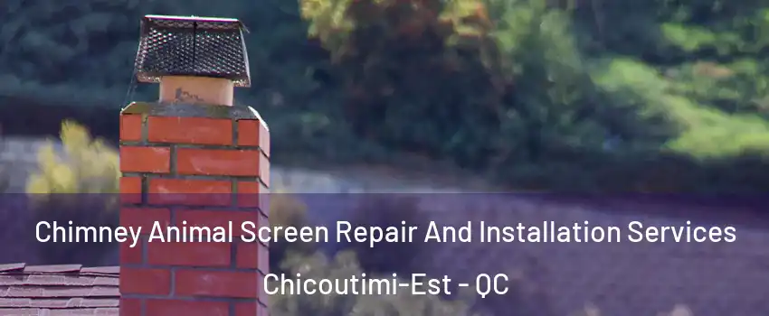  Chimney Animal Screen Repair And Installation Services Chicoutimi-Est - QC