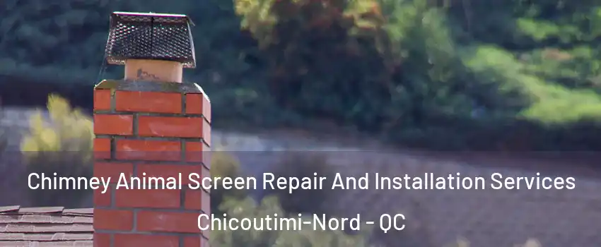  Chimney Animal Screen Repair And Installation Services Chicoutimi-Nord - QC