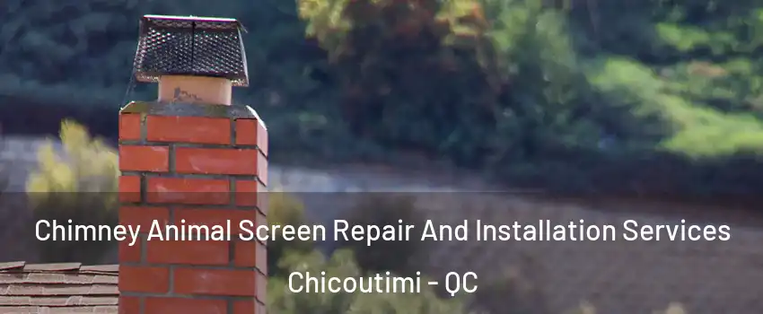  Chimney Animal Screen Repair And Installation Services Chicoutimi - QC