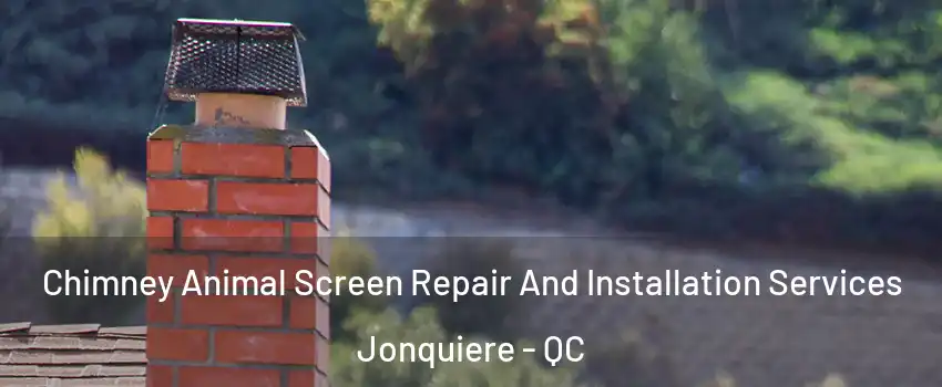  Chimney Animal Screen Repair And Installation Services Jonquiere - QC