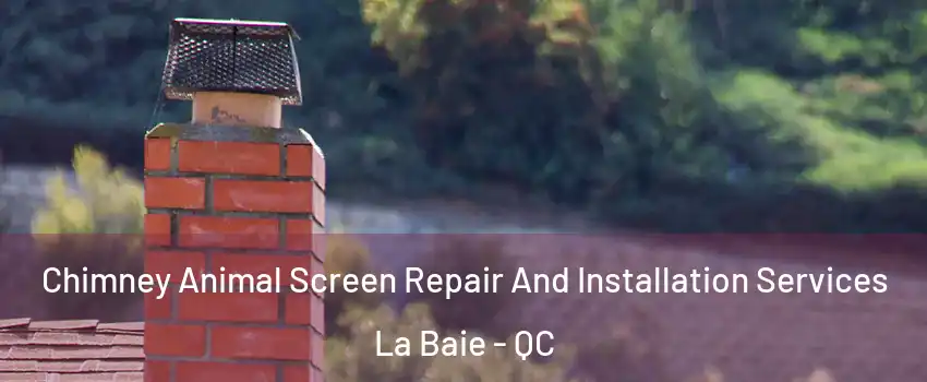  Chimney Animal Screen Repair And Installation Services La Baie - QC