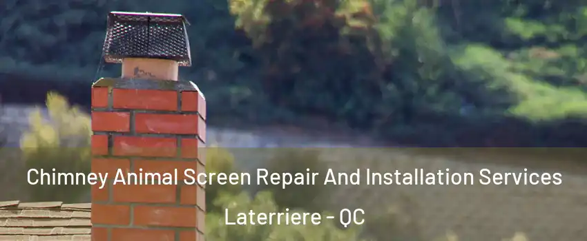  Chimney Animal Screen Repair And Installation Services Laterriere - QC