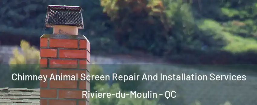  Chimney Animal Screen Repair And Installation Services Riviere-du-Moulin - QC