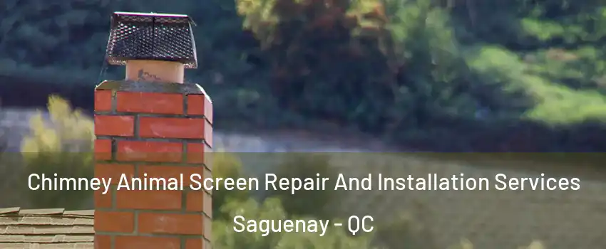  Chimney Animal Screen Repair And Installation Services Saguenay - QC
