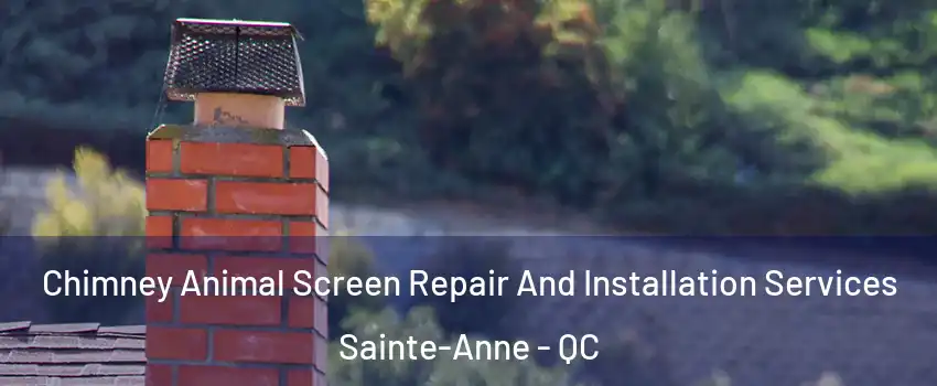  Chimney Animal Screen Repair And Installation Services Sainte-Anne - QC