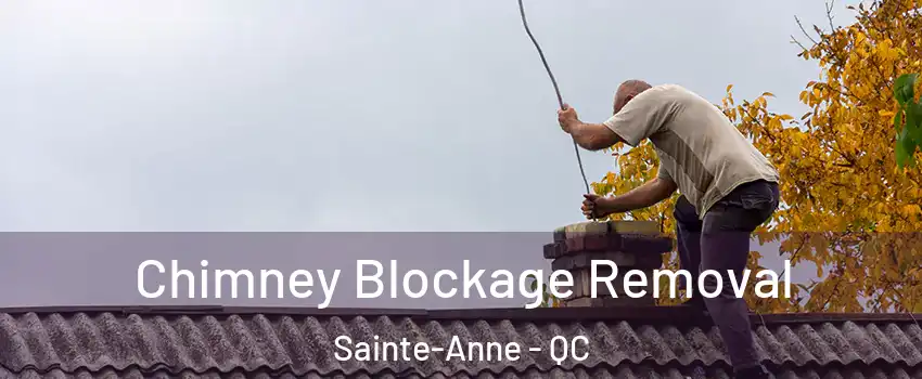  Chimney Blockage Removal Sainte-Anne - QC