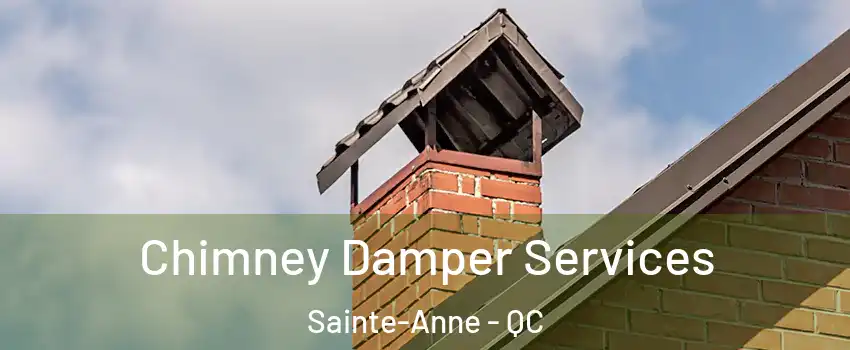  Chimney Damper Services Sainte-Anne - QC