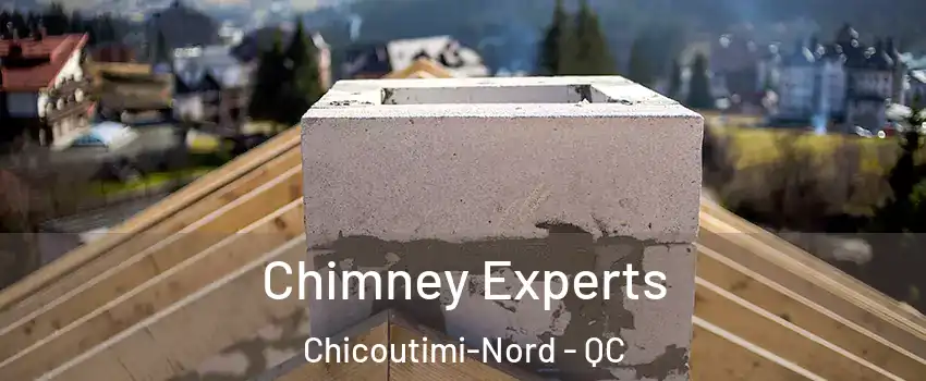 Chimney Experts Chicoutimi-Nord - QC