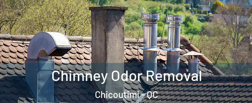  Chimney Odor Removal Chicoutimi - QC