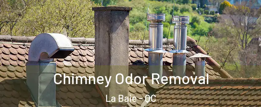  Chimney Odor Removal La Baie - QC