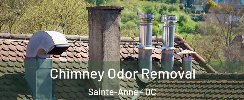  Chimney Odor Removal Sainte-Anne - QC