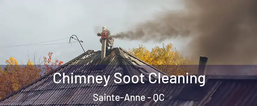  Chimney Soot Cleaning Sainte-Anne - QC
