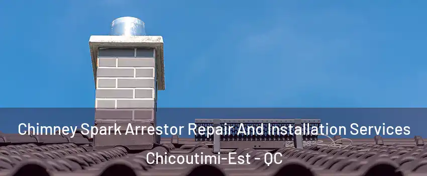  Chimney Spark Arrestor Repair And Installation Services Chicoutimi-Est - QC
