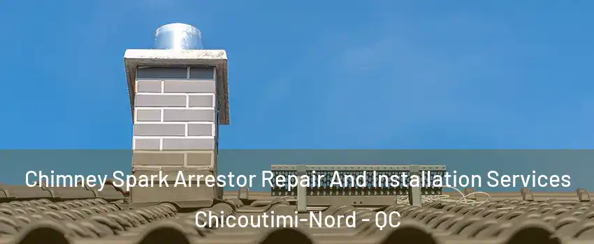  Chimney Spark Arrestor Repair And Installation Services Chicoutimi-Nord - QC