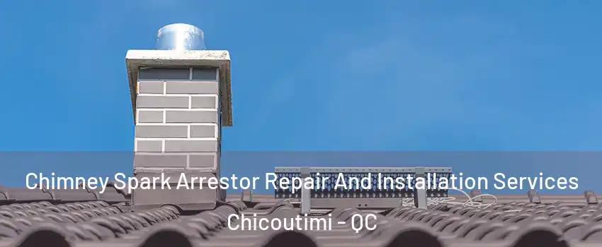  Chimney Spark Arrestor Repair And Installation Services Chicoutimi - QC