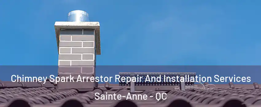  Chimney Spark Arrestor Repair And Installation Services Sainte-Anne - QC
