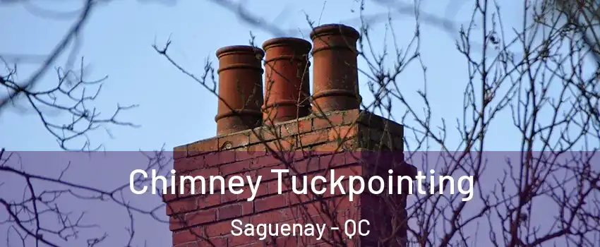  Chimney Tuckpointing Saguenay - QC