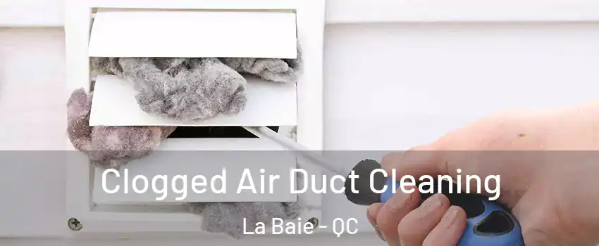  Clogged Air Duct Cleaning La Baie - QC