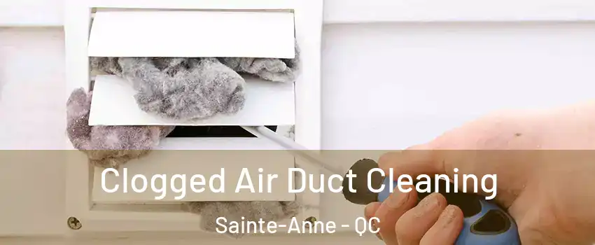  Clogged Air Duct Cleaning Sainte-Anne - QC