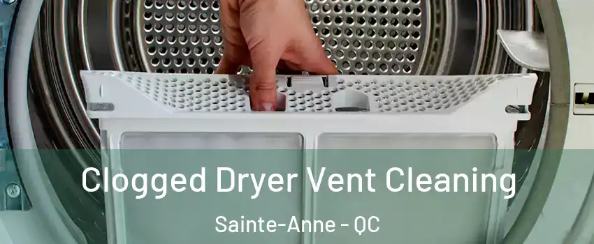  Clogged Dryer Vent Cleaning Sainte-Anne - QC
