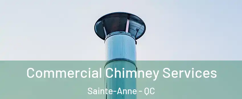  Commercial Chimney Services Sainte-Anne - QC