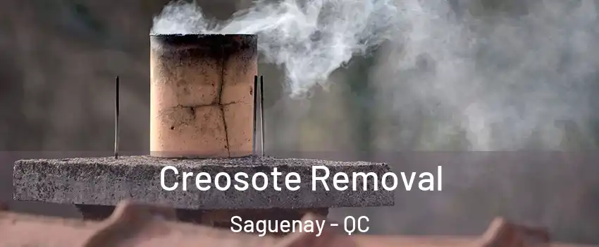  Creosote Removal Saguenay - QC