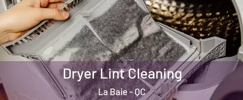  Dryer Lint Cleaning La Baie - QC