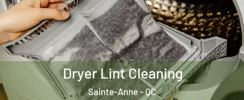  Dryer Lint Cleaning Sainte-Anne - QC