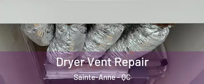  Dryer Vent Repair Sainte-Anne - QC