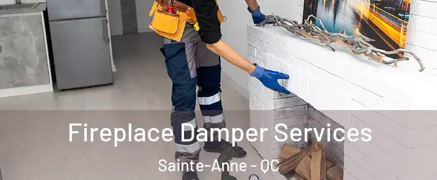  Fireplace Damper Services Sainte-Anne - QC