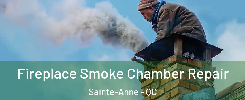  Fireplace Smoke Chamber Repair Sainte-Anne - QC