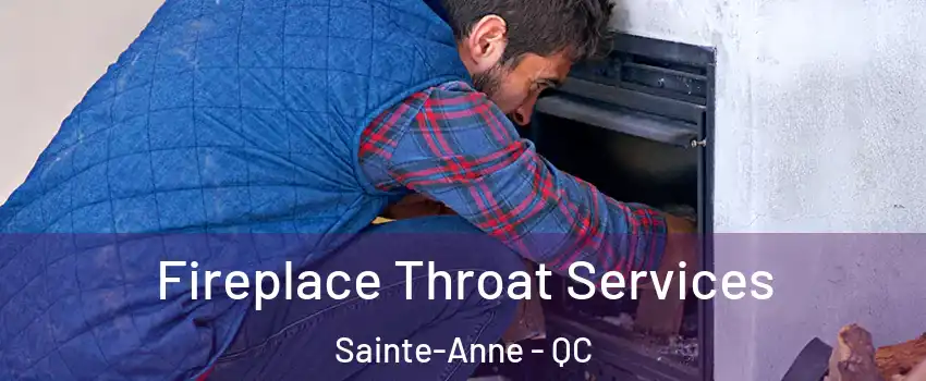  Fireplace Throat Services Sainte-Anne - QC