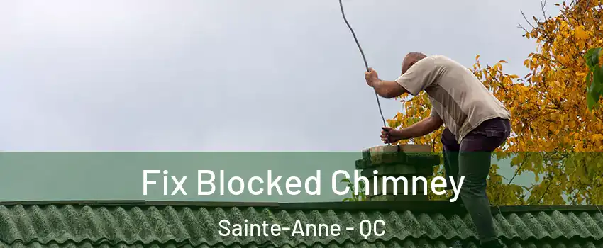  Fix Blocked Chimney Sainte-Anne - QC