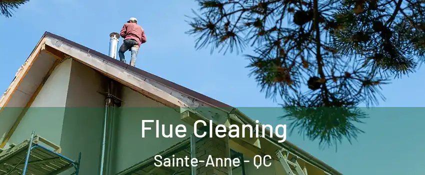  Flue Cleaning Sainte-Anne - QC