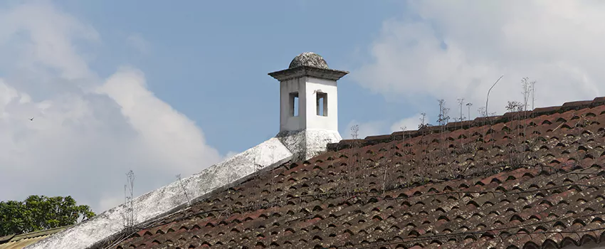 Wind-Resistant Chimney Caps Installation and Repair Services in Laterriere, Quebec