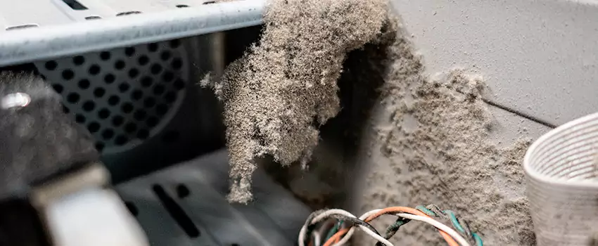 Clogged Dryer Vent Lint Cleaning in Chicoutimi, Quebec