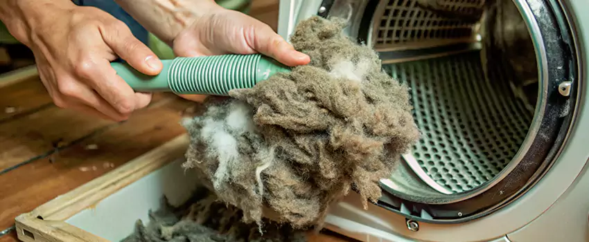 Best Dryer Lint Removal Company in Chicoutimi, Quebec