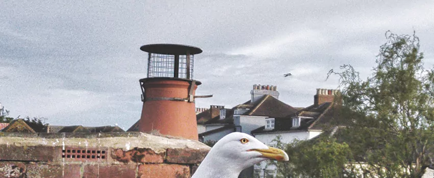 Chimney Cap Bird Guard Repair in Laterriere, Quebec
