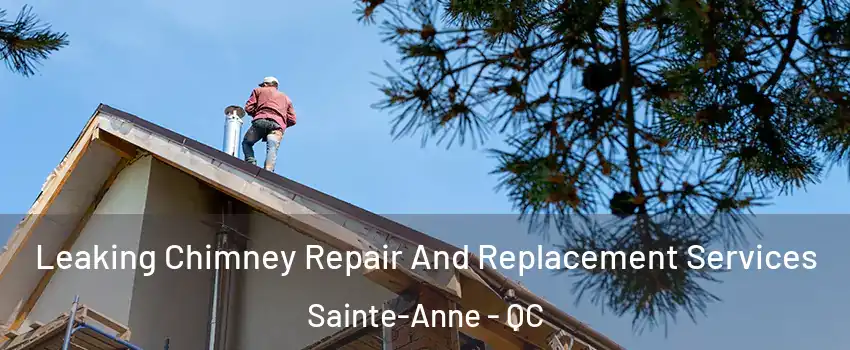 Leaking Chimney Repair And Replacement Services Sainte-Anne - QC