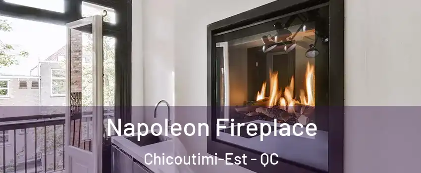  Napoleon Fireplace Chicoutimi-Est - QC