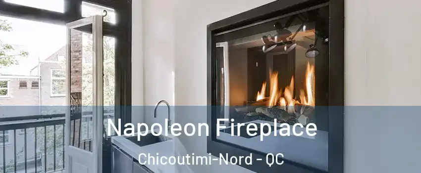  Napoleon Fireplace Chicoutimi-Nord - QC