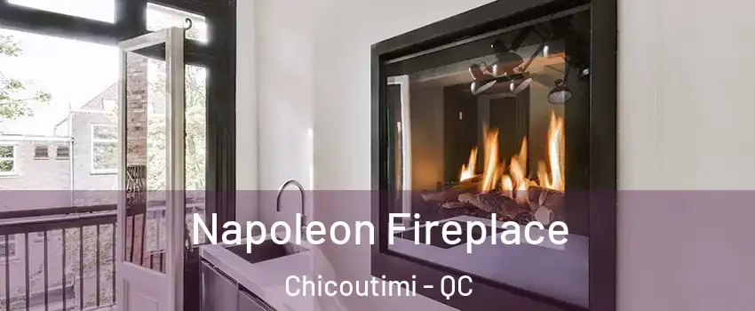  Napoleon Fireplace Chicoutimi - QC